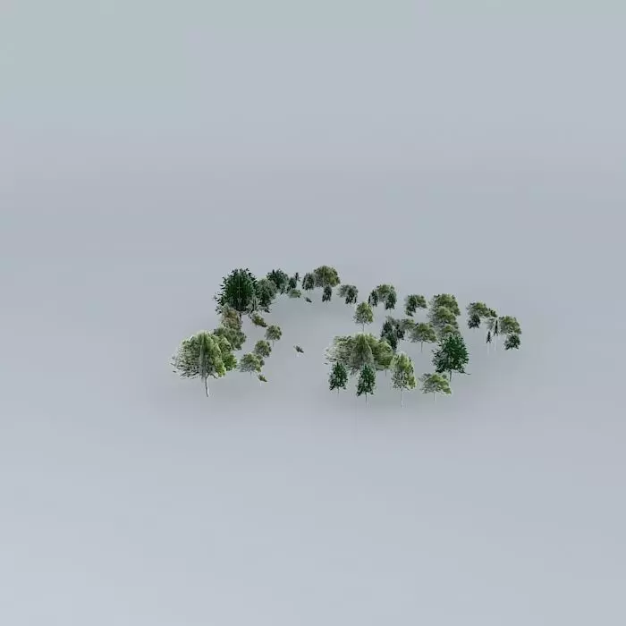 Botanic Garden Trees 01 Free 3D model_0