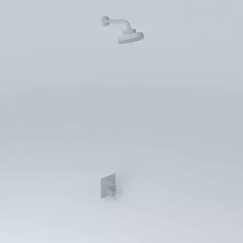 Shower Head and Volume controls