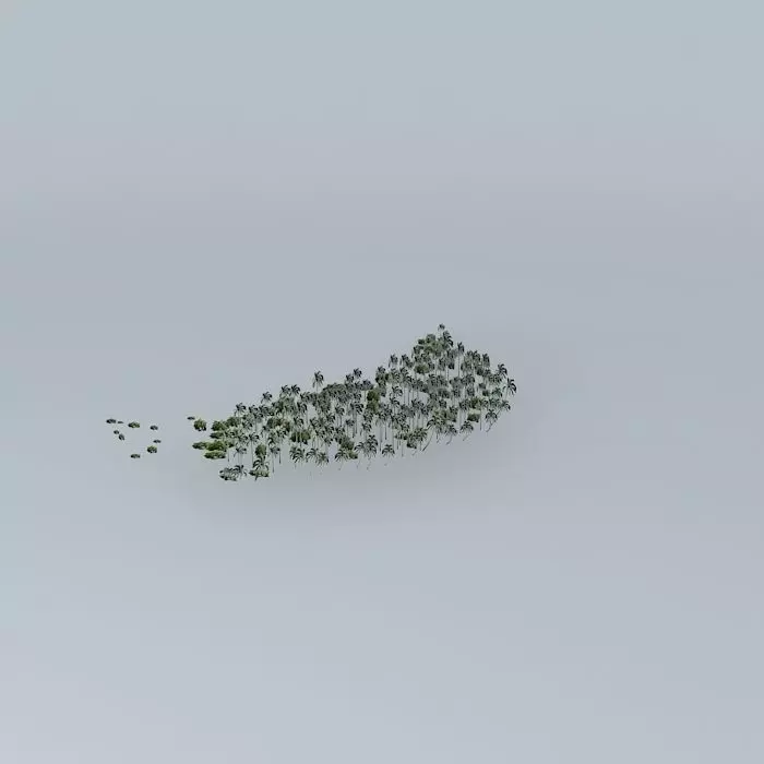 Coconut trees 26 Mangrove 01 Palmyra Island Free 3D model_0