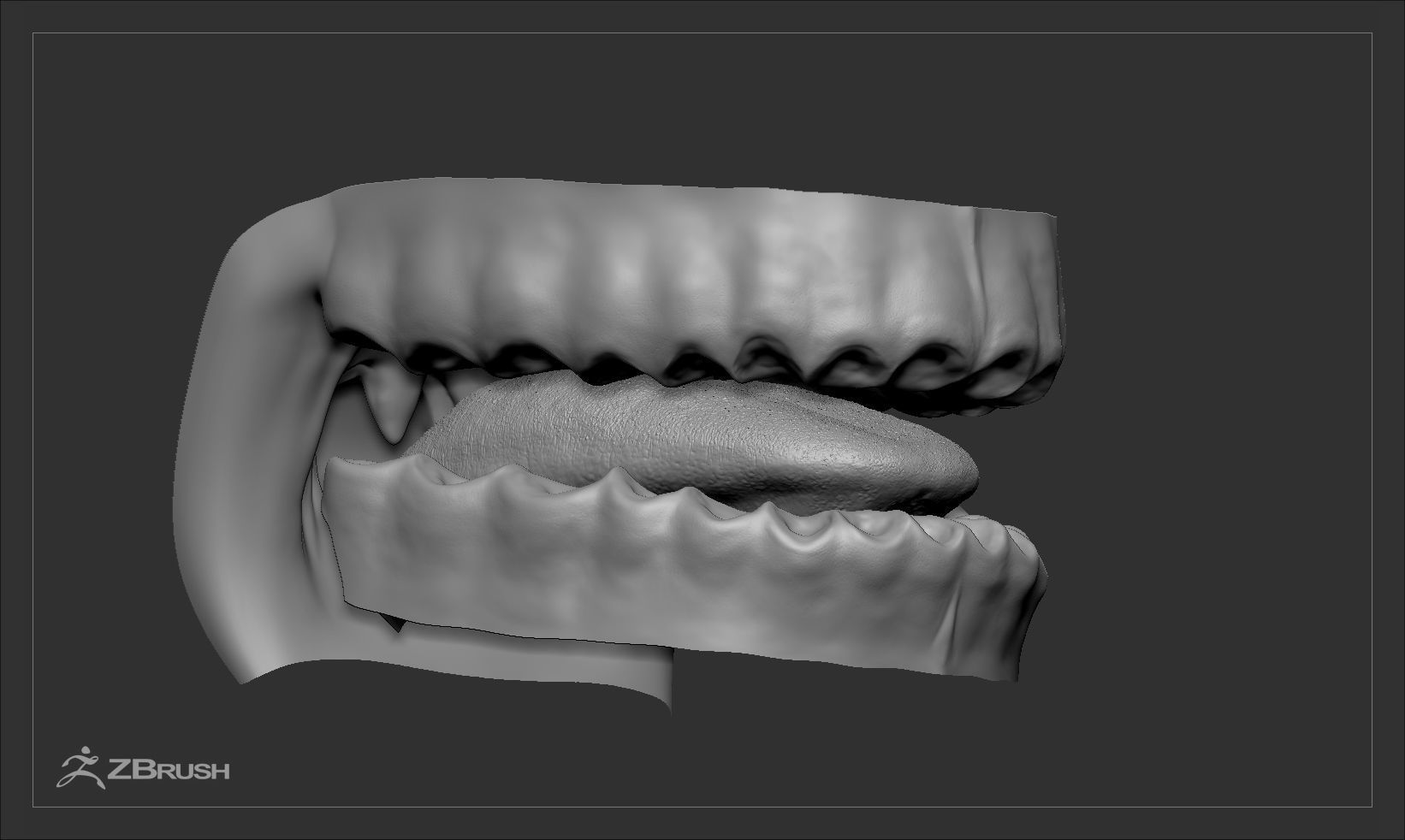 Teeth and Tongue Set Low-poly 3D model_37