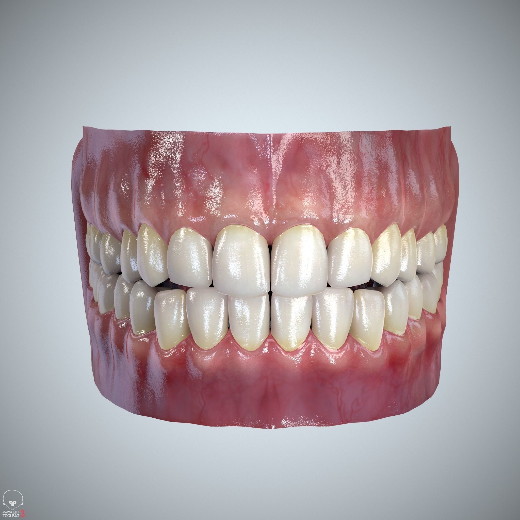 Teeth and Tongue Set Low-poly 3D model_16