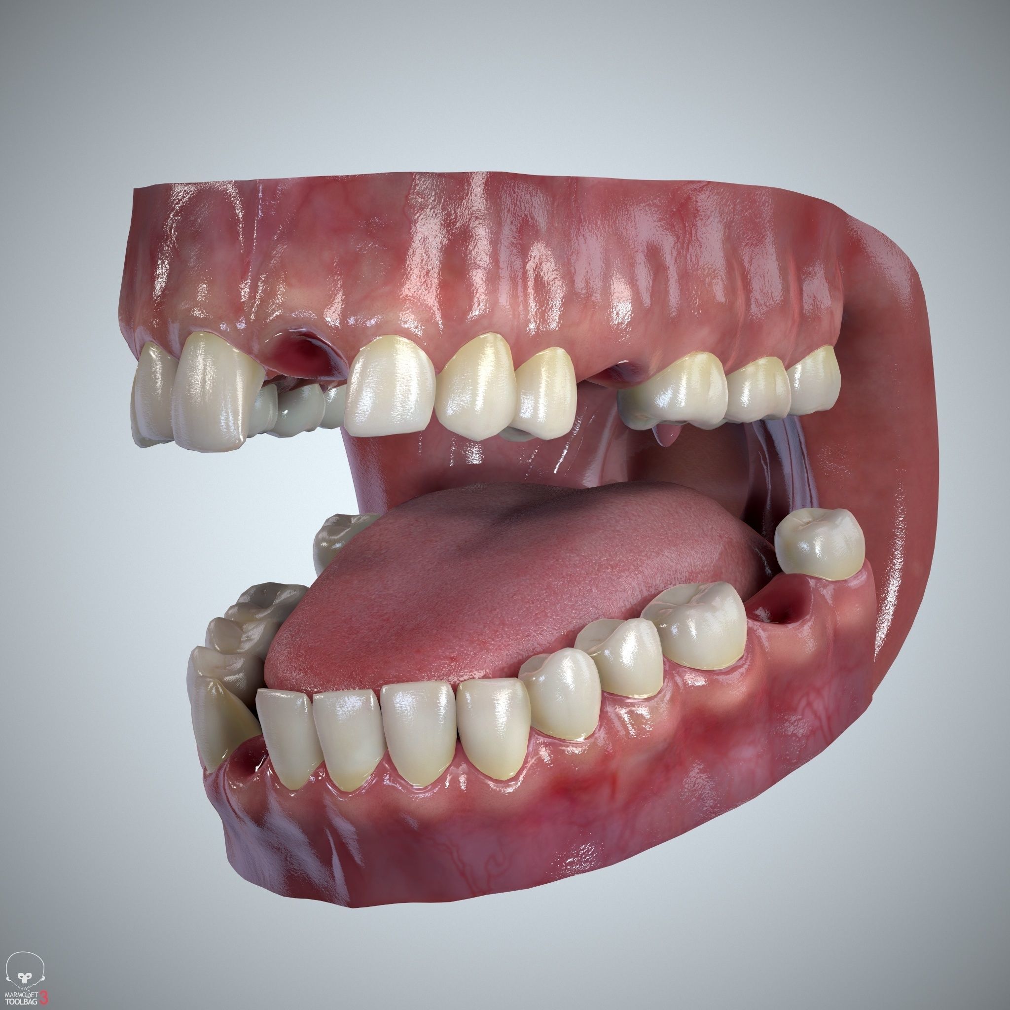 Teeth and Tongue Set Low-poly 3D model_25