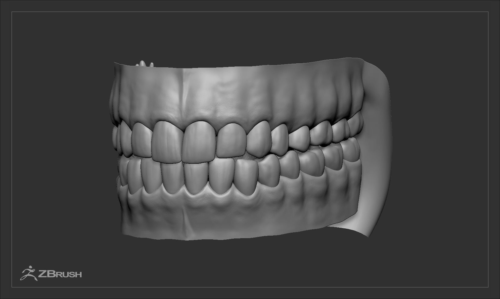 Teeth and Tongue Set Low-poly 3D model_32