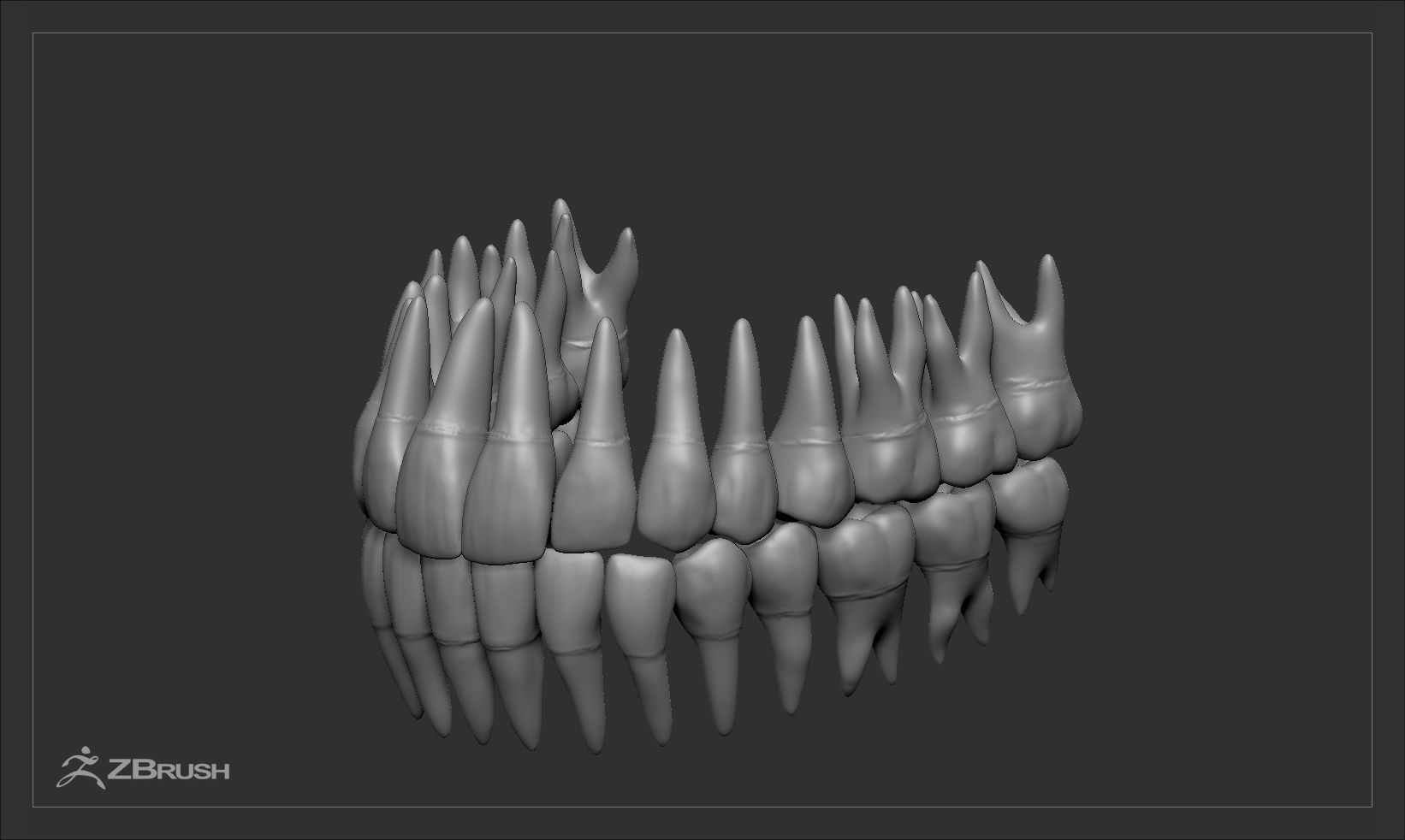 Teeth and Tongue Set Low-poly 3D model_36