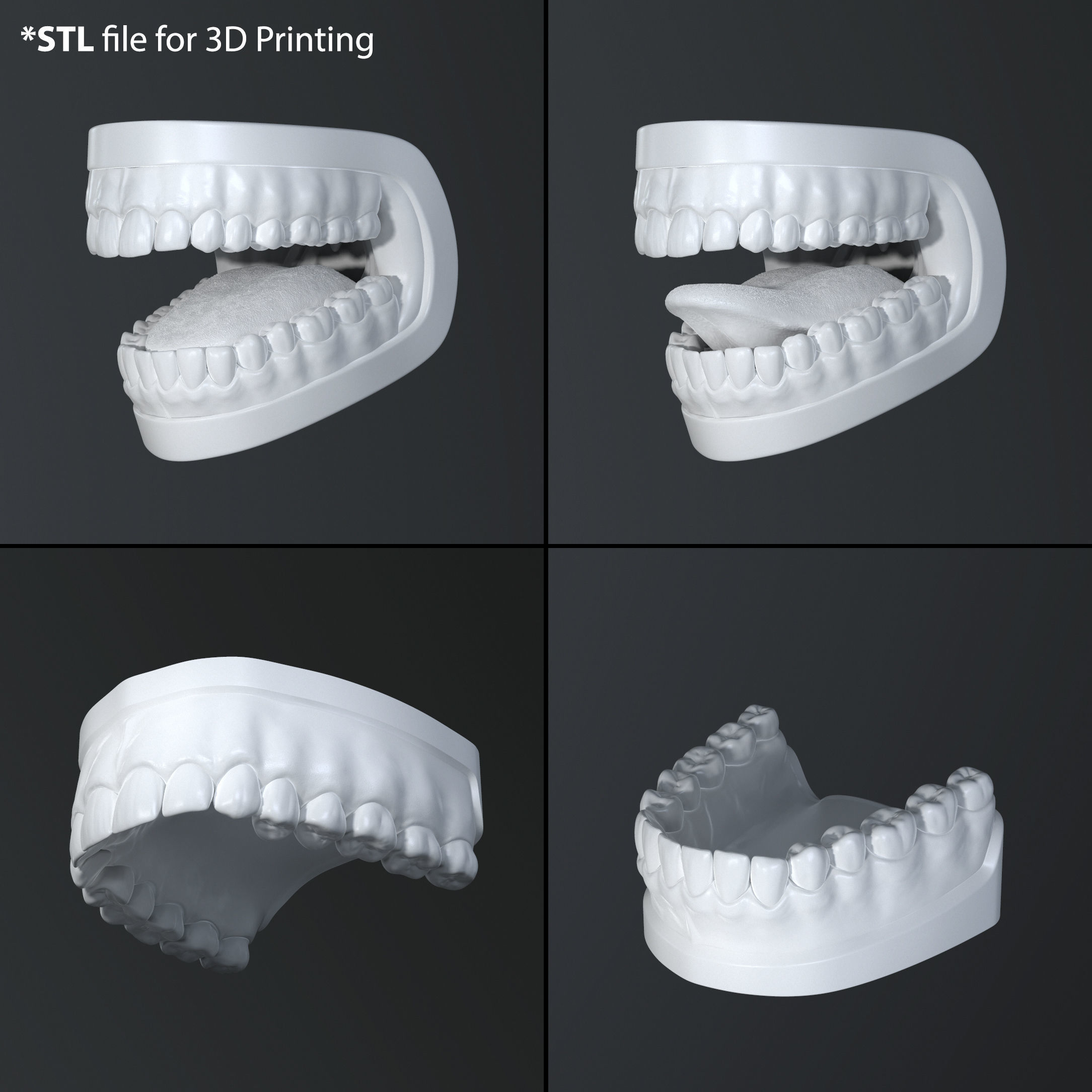 Teeth and Tongue Set Low-poly 3D model_40