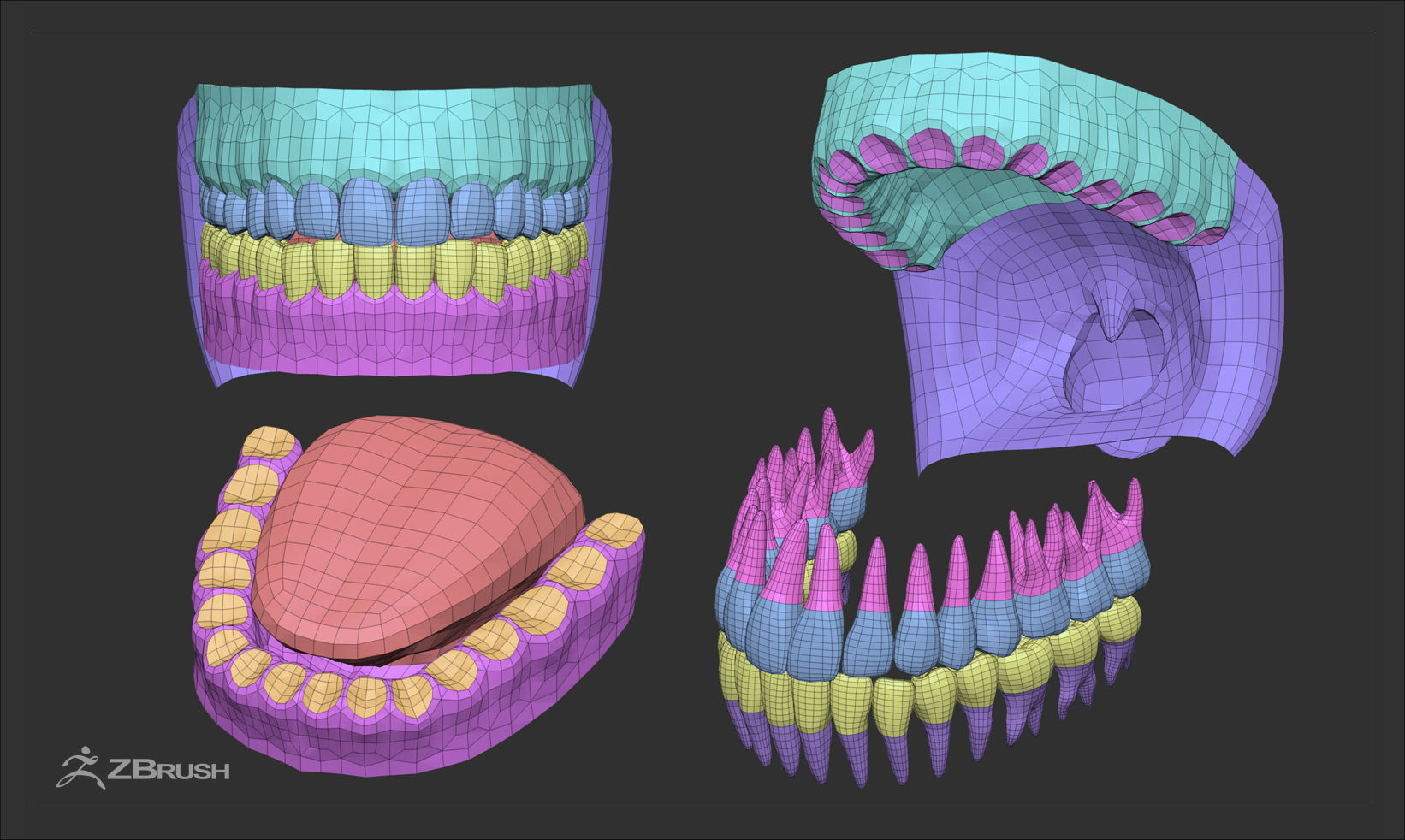Teeth and Tongue Set Low-poly 3D model_38
