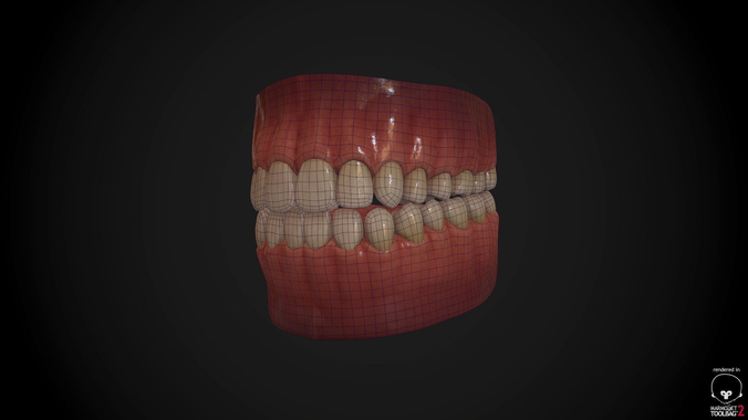zbrush model teeth .obj .mb Game free .fbx .ma Model ready Teeth .ztl 3D Set Tongue and zbrush model teeth .obj .mb Game free .fbx .ma Model ready Teeth .ztl 3D Set Tongue and