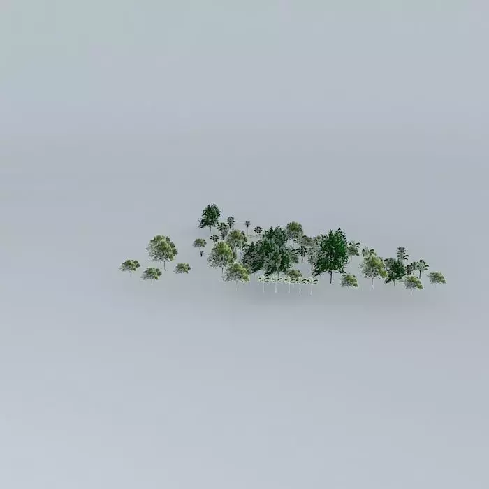 Botanic Garden Trees 04 Free 3D model_0