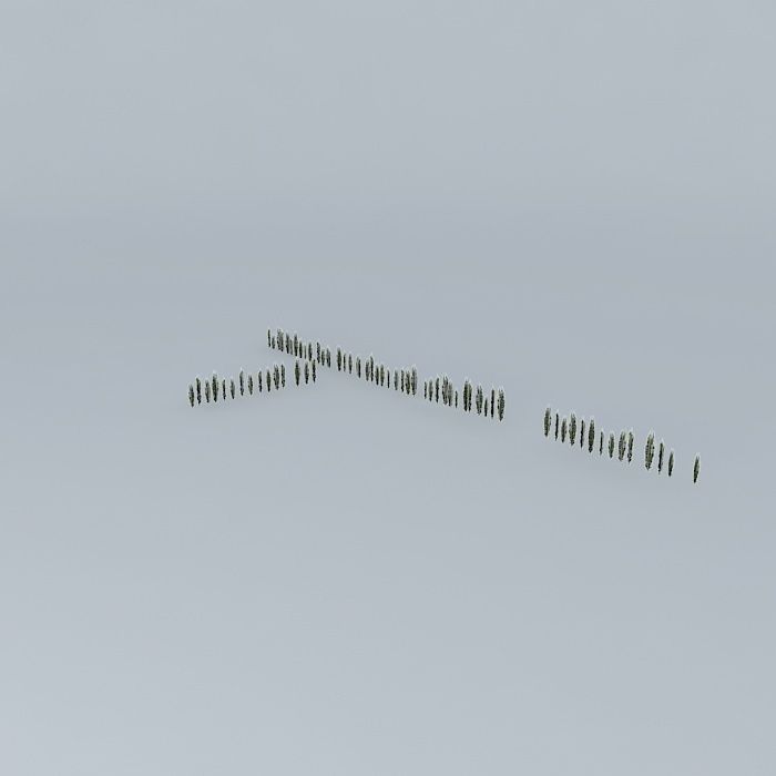 Lubrizol 01 trees Free 3D model_2