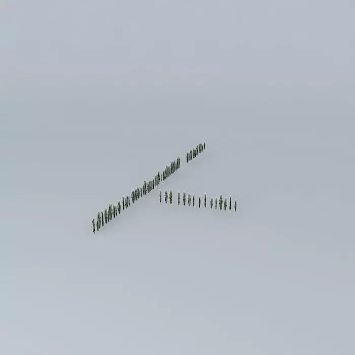 Lubrizol 01 trees Free 3D model_0