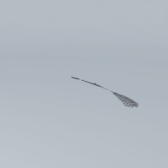 Surfing Skippy the Bush Kangaroo Free 3D model_4