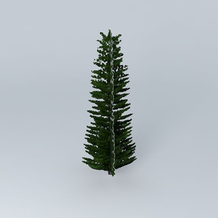 Norfolk Island Pine 3 Free 3D model_2