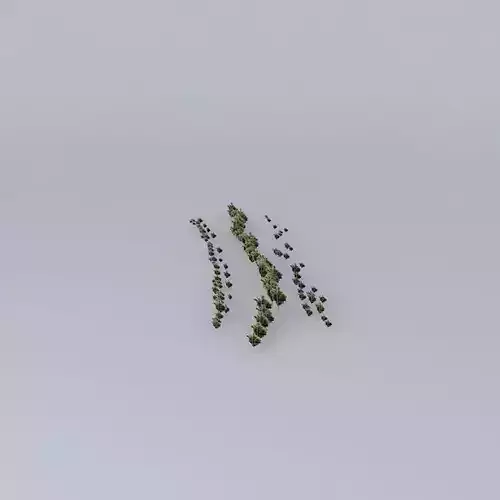 Trees on the Port Part 04 Free 3D model
