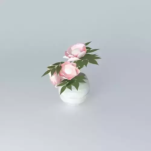 Peonies flowers in vase