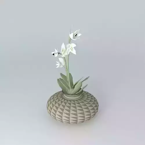 Weird Flower Pot
