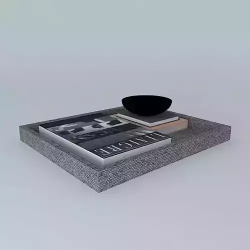 Tray 1 coffee table with books