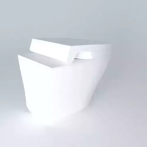 Wall Hung Toilet