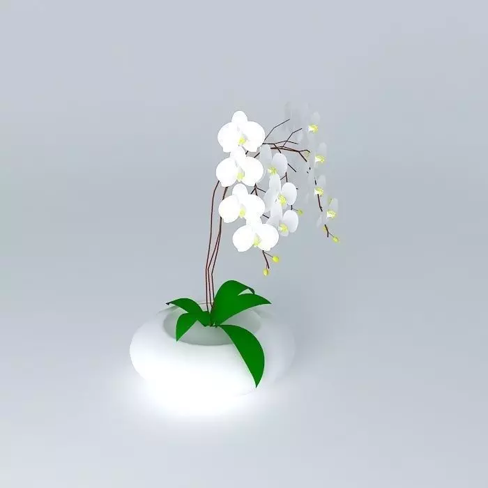 Large Flower 3D model_0