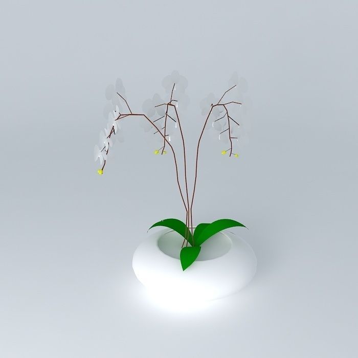 Large Flower 3D model_1