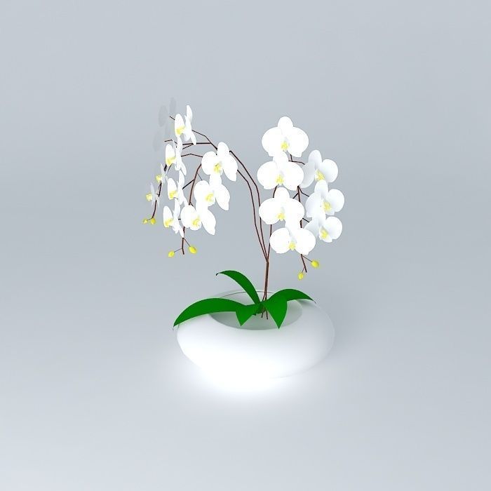 Large Flower 3D model_2