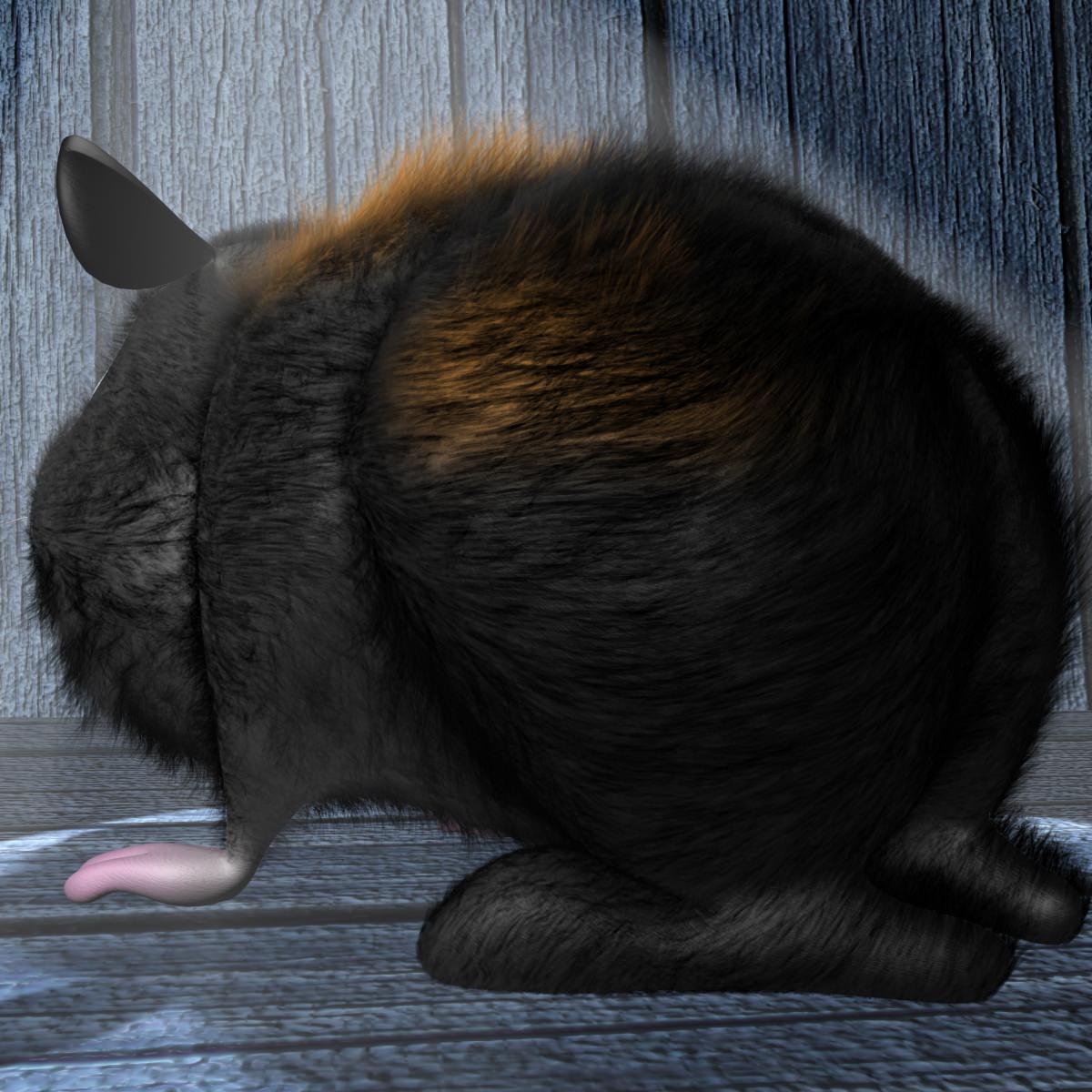 Cartoon Hamster Rigged Low-poly 3D model_3