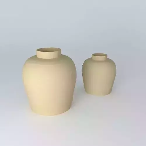 Vase two vases
