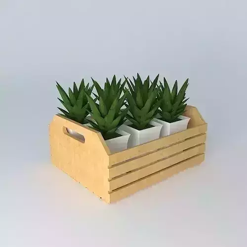 Tray with plants Free 3D model