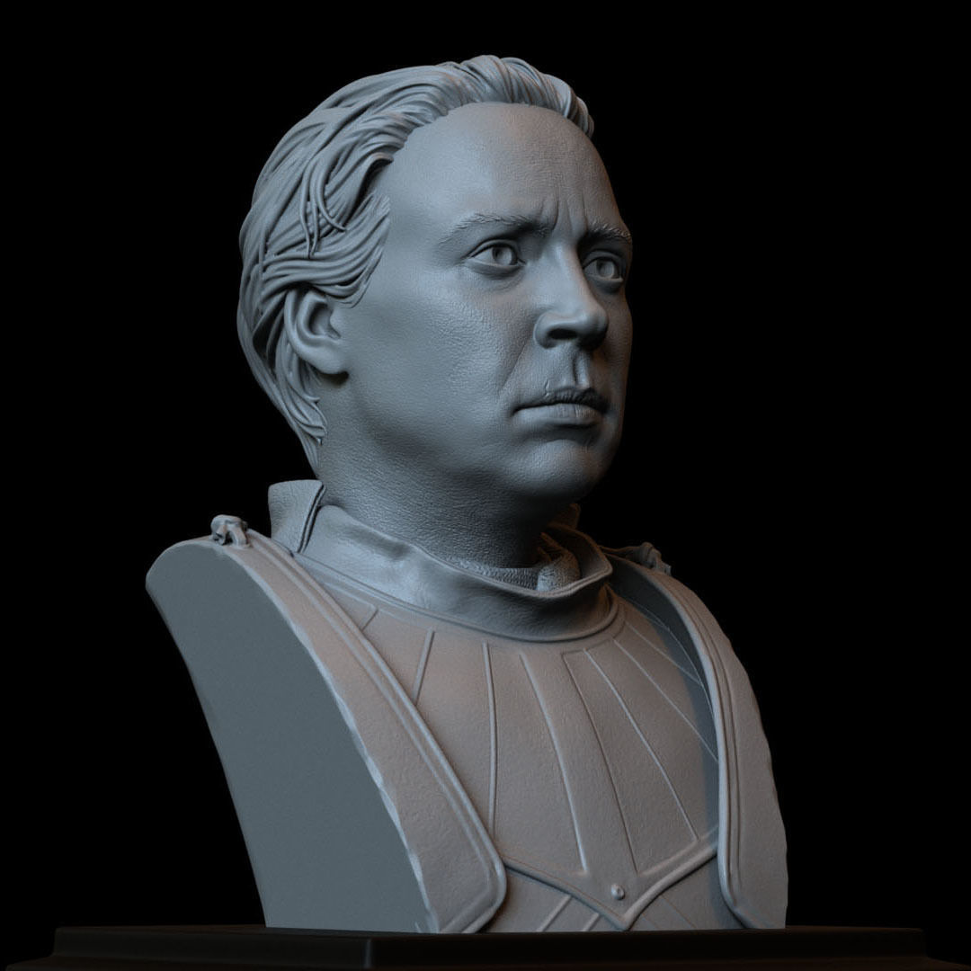 Brienne of Tarth from Game of Thrones Bust 200mm 3D print model_13