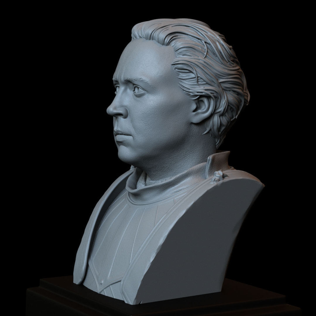 Brienne of Tarth from Game of Thrones Bust 200mm 3D print model_14