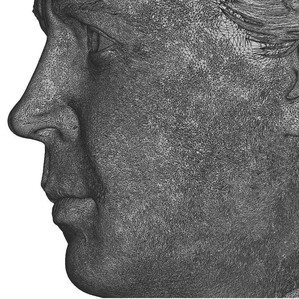 Brienne of Tarth from Game of Thrones Bust 200mm 3D print model_8