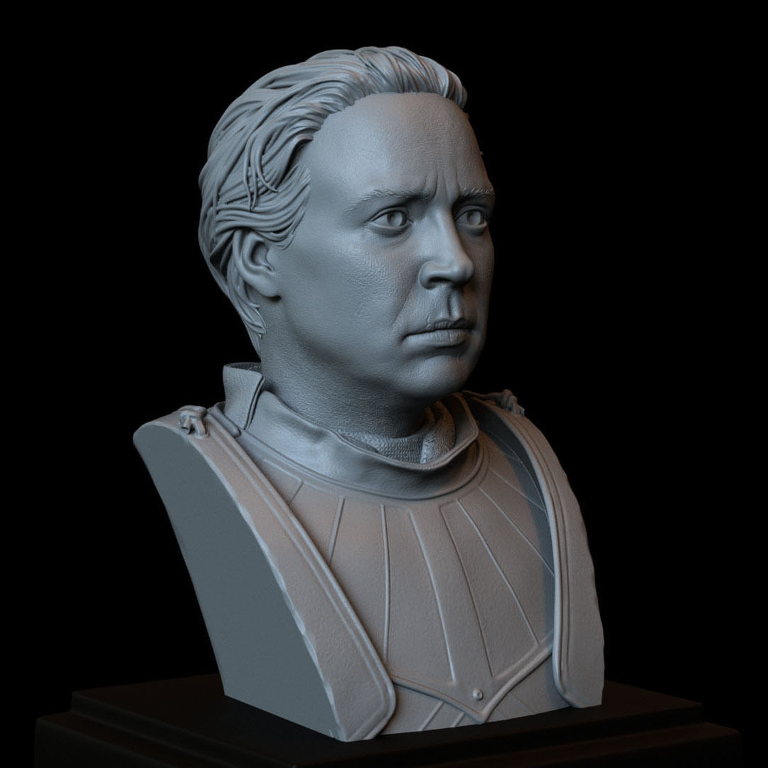Brienne of Tarth from Game of Thrones Bust 200mm 3D print model_9