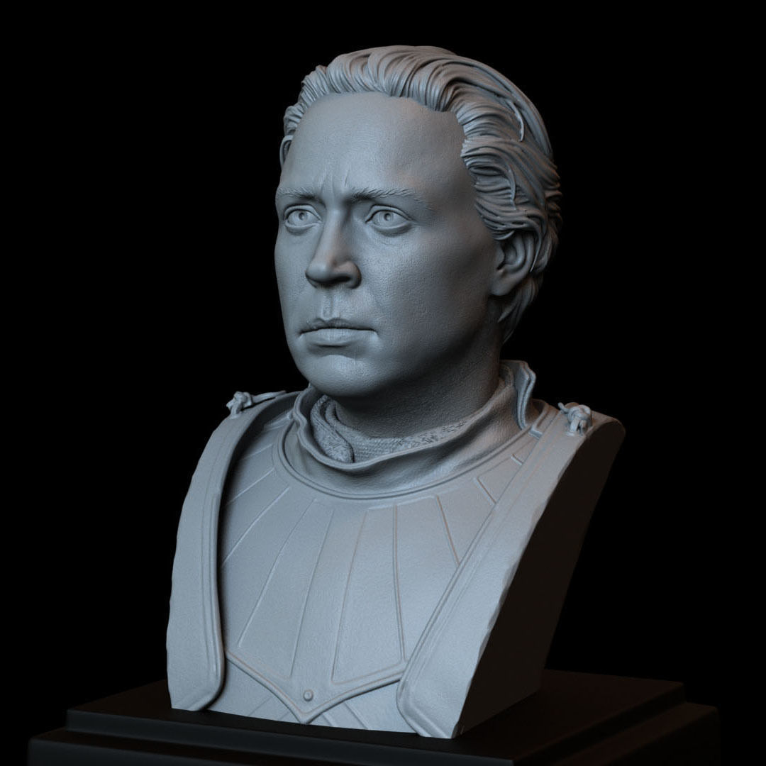 Brienne of Tarth from Game of Thrones Bust 200mm 3D print model_11