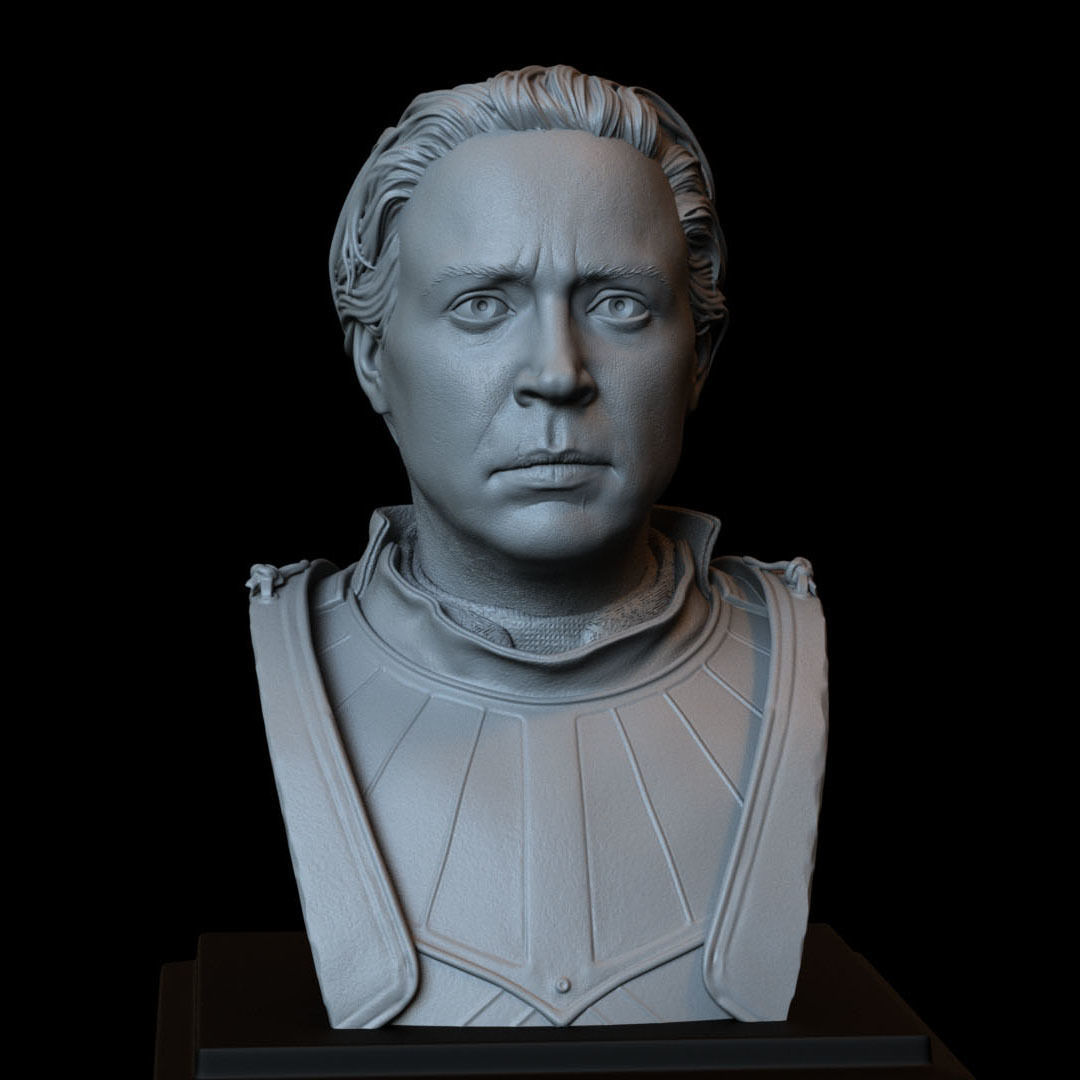Brienne of Tarth from Game of Thrones Bust 200mm 3D print model_15