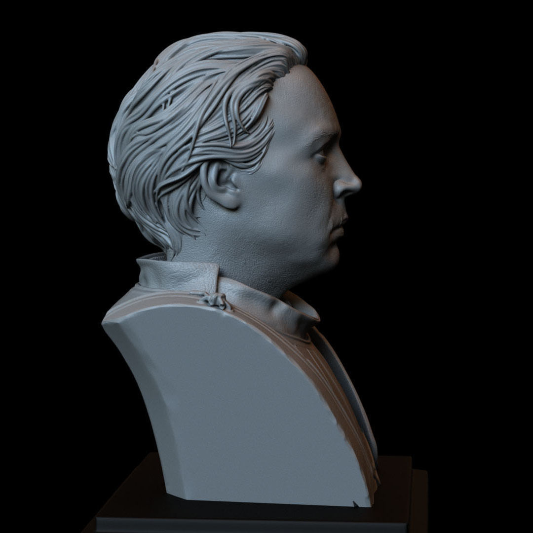 Brienne of Tarth from Game of Thrones Bust 200mm 3D print model_10