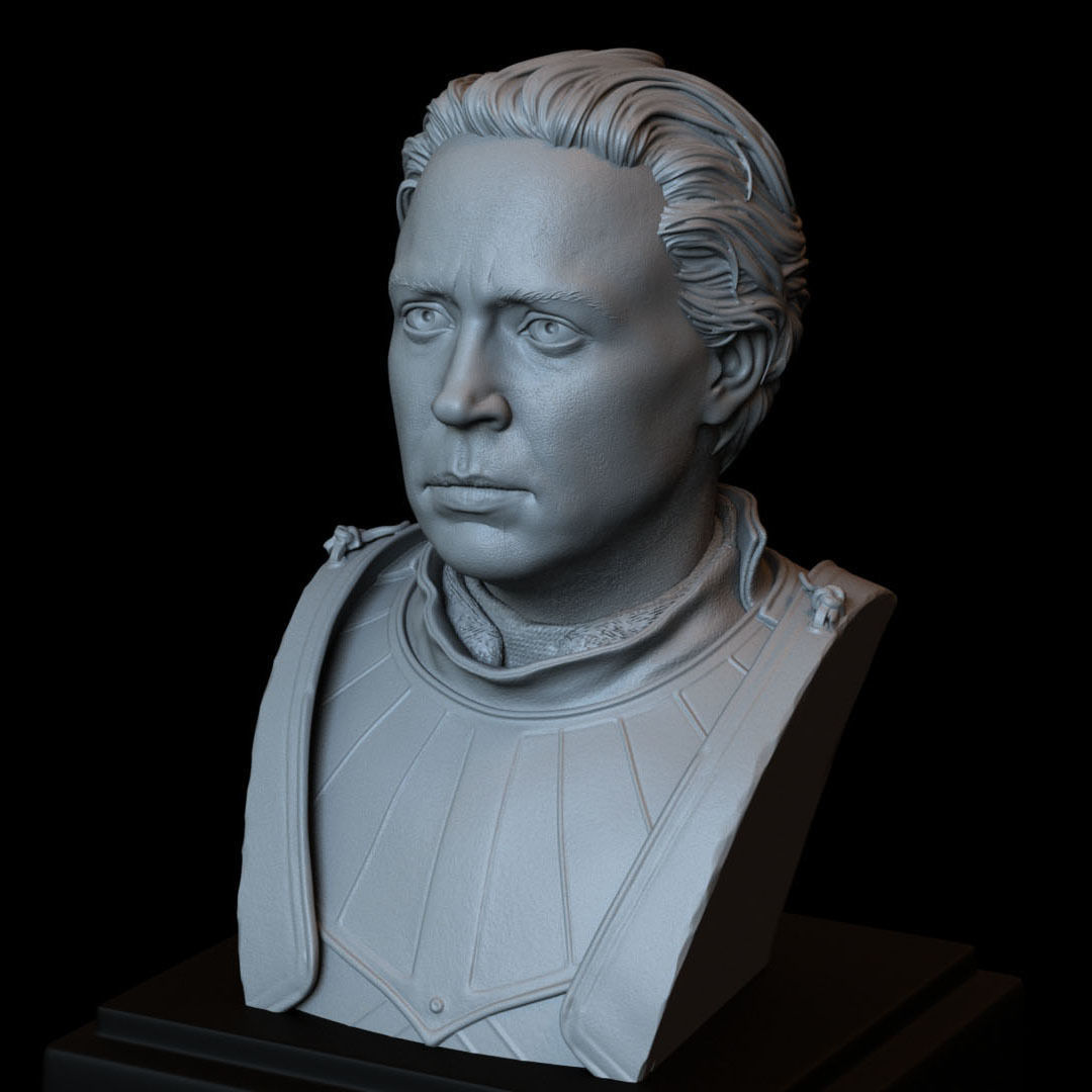 Brienne of Tarth from Game of Thrones Bust 200mm 3D print model_16