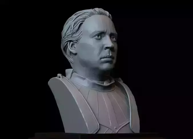 Brienne of Tarth from Game of Thrones Bust 200mm 3D print model