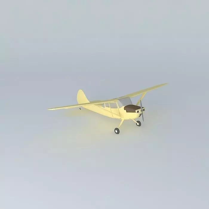 Cessna Bird Dog Free 3D model