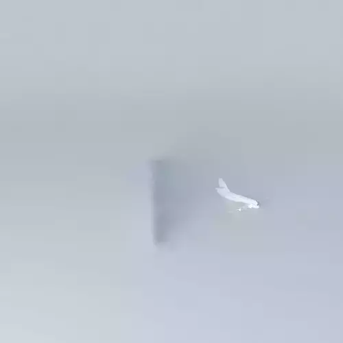 AIRBOUINGUE bird in sky