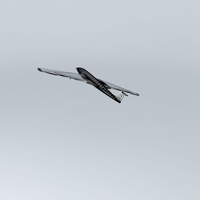 AEROPLANE plane flying in sky Free 3D model_3