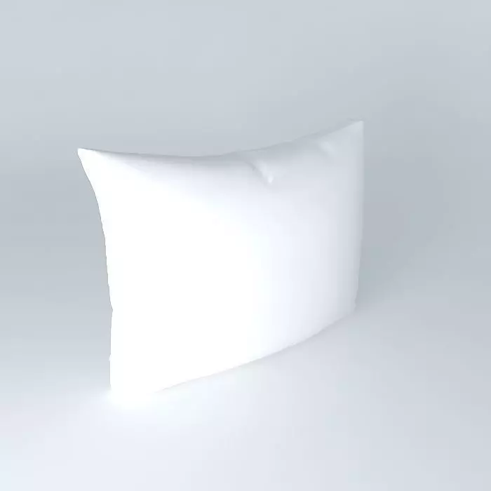 Large Sofa Pillow 3D model_0