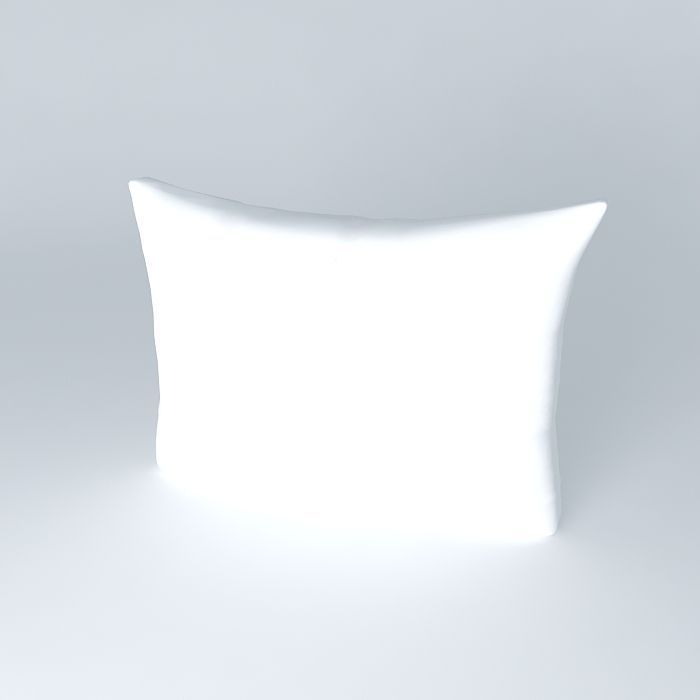 Large Sofa Pillow 3D model_1
