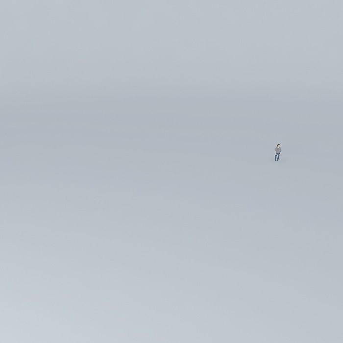 meufilhoorkut person in middle of empty field Free 3D model_1