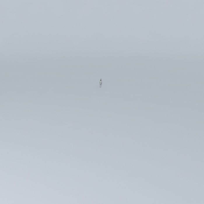 meufilhoorkut person in middle of empty field Free 3D model_4