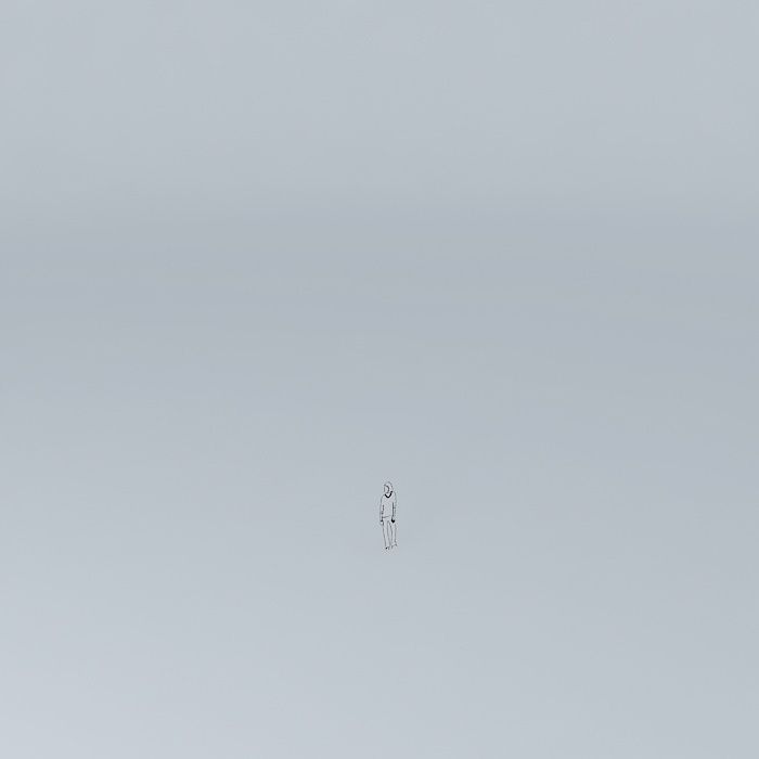 meufilhoorkut person in middle of empty field Free 3D model_3