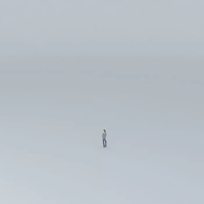 meufilhoorkut person in middle of empty field Free 3D model_0