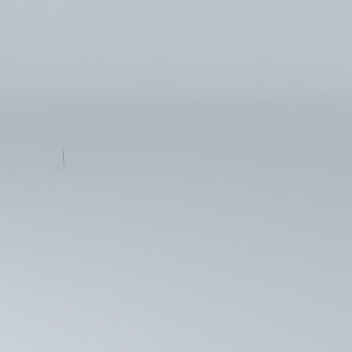 meufilhoorkut person in middle of empty field Free 3D model_2