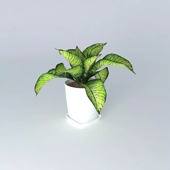 plant plant in pot Free 3D model