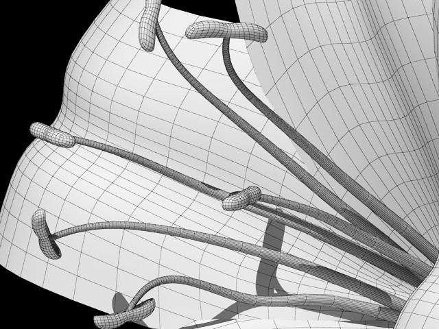 Lilium Davidii 3D model_10