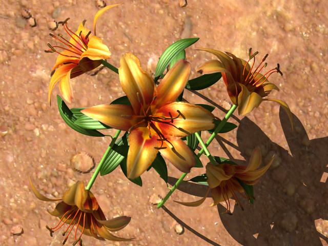 Lilium Davidii 3D model_4