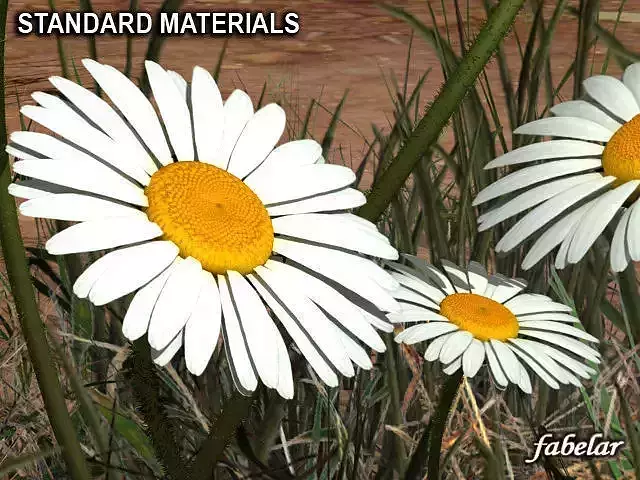Daisy STD Mat 3D model